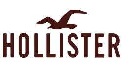 Hollister Co. Stores
